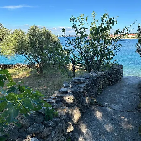 Dee Ugljan - Sea 80 M Guest house