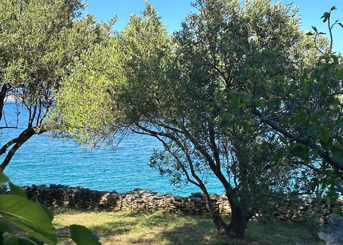 Dee Πανσιόν 4*